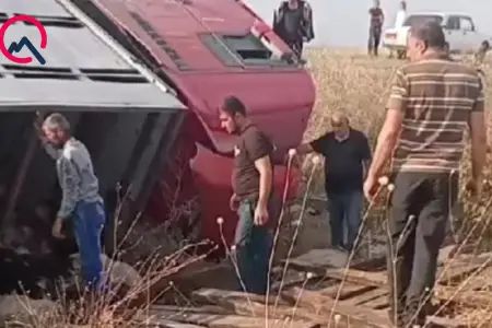 Sürücü yuxulayıb maşını aşırdı - Heyvanlar tələf oldu