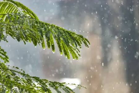 Leysan olacaq, çaylardan sel keçəcək - Xəbərdarlıq