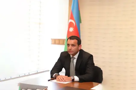 Naftalanın icra başçısı təyin olunan Məmmədiyə Məmmədovun DOSYESİ