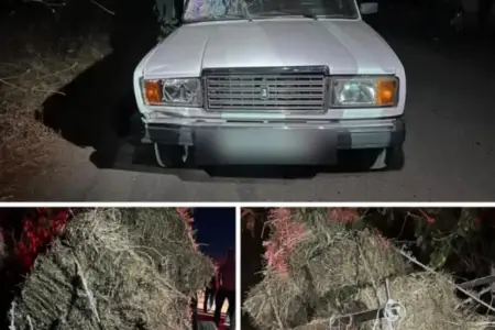 At arabalarının iştirakı ilə baş verən qəzalar: 1 nəfər ölüb, 3 nəfər xəsarət alıb
