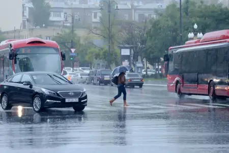 Leysan və qar yağacaq - Sabahın havası
