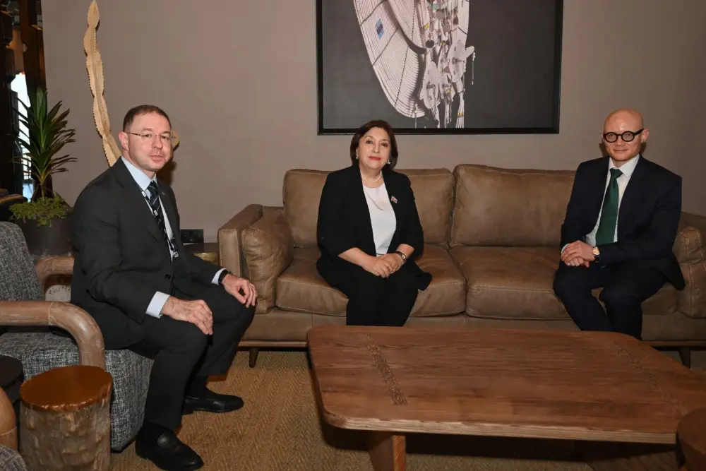 Milli Məclisin sədri Sahibə Qafarova Tanzaniyada işgüzar səfərə gəldi- FOTOLAR