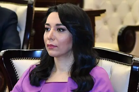 Ombudsman: Bakı Dialoqu formatında IV beynəlxalq konfransda səslənən rəqəmlər böyük ümid yaradır- VİDEO