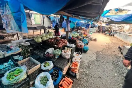 Şəmkir bazarında vaxtı keçmiş məhsullar aşkarlandı - FOTOLAR