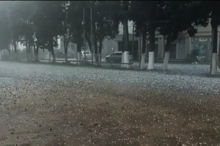 Lənkəranın 5 kəndinə dolu düşdü - Fotolar