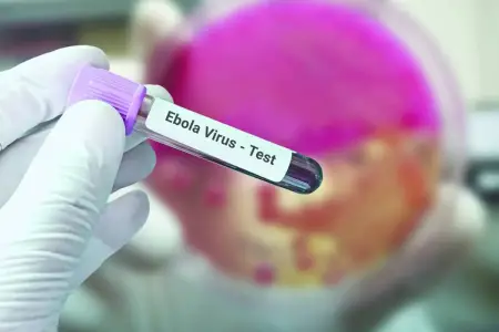 Daha bir ölkədə Ebolaya ilk yoluxma qeydə alındı