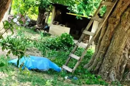 62 yaşlı kişi ağacdan yıxılıb öldü
