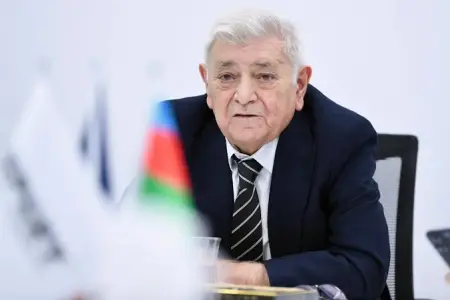 "Bu aksiyaların arxasında kənar bir dövlət dayanır" - Aqil Abbas