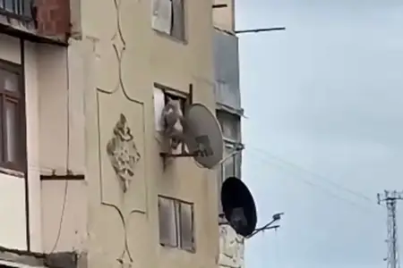 İti hündür mərtəbədən atan şəxsin FOTOsu yayıldı