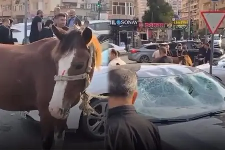 Bakıda maşın atla toqquşdu - Video