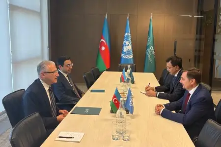 Azərbaycanla BMT Xəzərdə suyun səviyyəsinin azalmasını müzakirə etdi