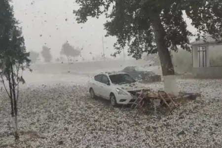 Sədərək rayonuna güclü dolu yağdı