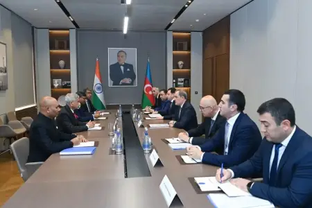 Ceyhun Bayramov hindistanlı həmkarı ilə görüşdü