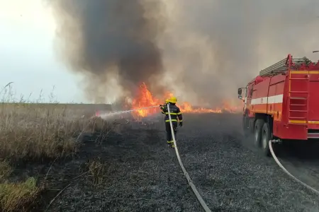 Cəlilabadda açıq ərazidə baş verən yanğın söndürüldü - Video - Yeniləndi