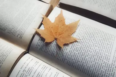 Kitab oxuyarkən buraxdığımız səhv – Alimlər xəbərdarlıq edir