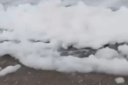 Xəzərin suyunda naməlum köpüklənmə ilə bağlı açıqlama - Video
