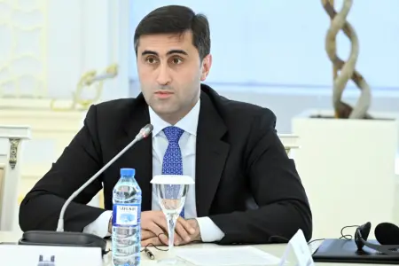 “Fransa Senatının həmin islahatı rədd etməsini qətiyyətlə pisləyirik”