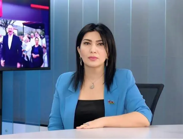 Milli Məclisin deputatı Elnarə Akimova