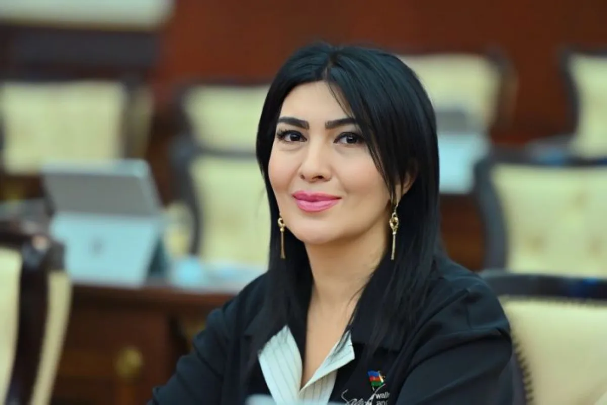 Milli Məclisin deputatı Elnarə Akimova