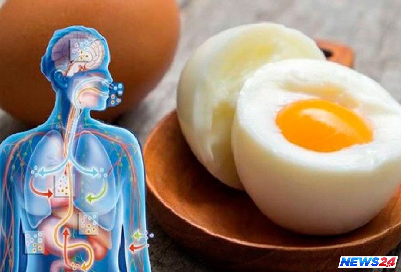 Что будет если пить яйца каждый день. Лекарственные яйца. Целебные куриные яйца. Полезные продукты яйца. Яйцо куриное вареное.