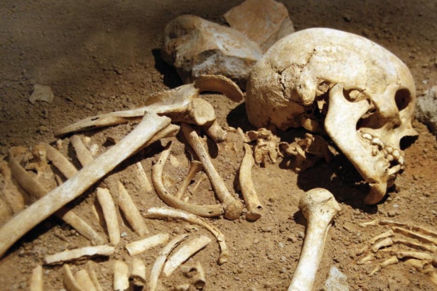 Xoşqədəmin verilişdə axtarılan 22 yaşlı oğlanın skeleti tapıldı 
