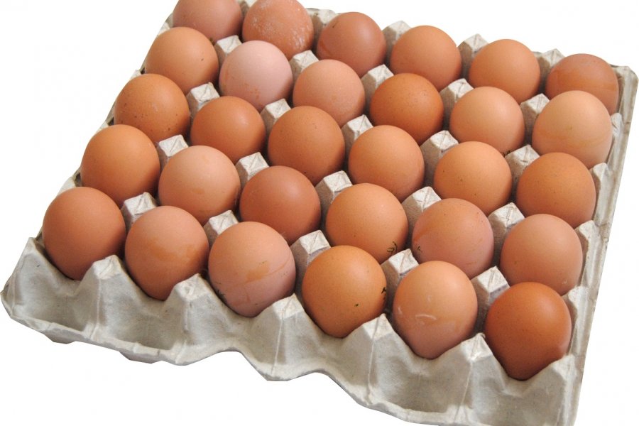 Xarici yumurtalar “yerli yumurta” adı ilə satılır 