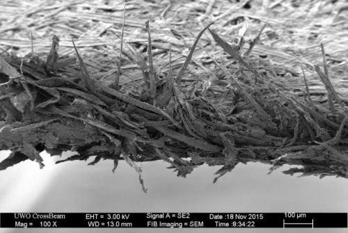 GÜNÜN FOTOSU: Kağızın mikroskop altında görüntüsü 