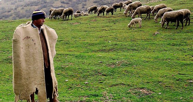 Çoban fermadan OĞURLUQ ELƏDİ