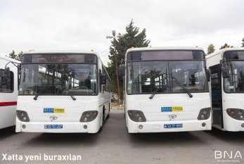 Daha iki xətt üzrə avtobuslar YENİLƏNDİ - FOTO