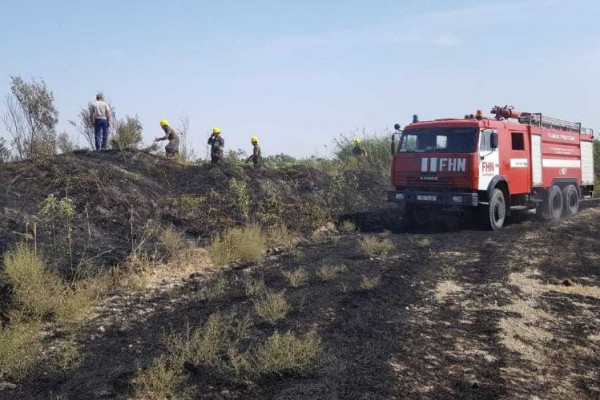 Şabranda 3 hektar taxıl sahəsi yandı 