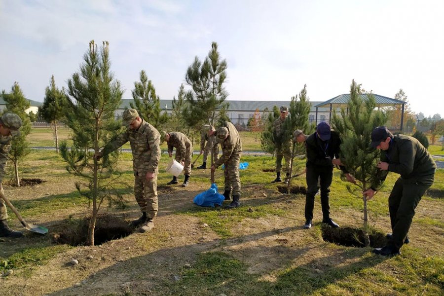 Azərbaycan Ordusunda ağacəkmə aksiyası keçirilir - FOTO