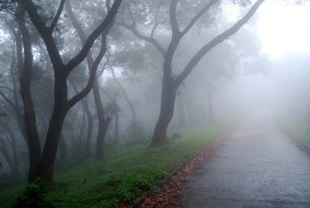 Yağış, duman - SABAHIN HAVASI