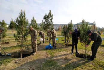 Azərbaycan Ordusunda ağacəkmə aksiyası keçirilir - FOTO