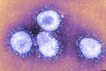 AQTA koronavirusla bağlı nəzarət tədbirlərini GÜCLƏNDİRDİ