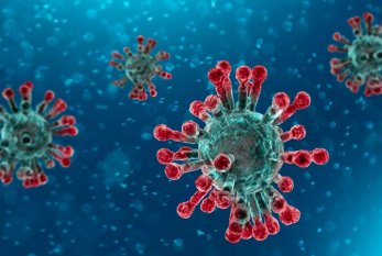 Çində koronavirusdan ölənlərin sayı 1113 nəfər oldu