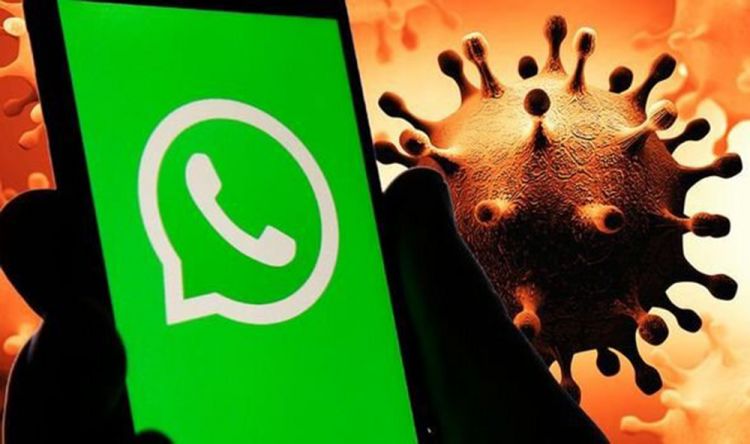 “Whatsapp”da koronavirusla bağlı yalan məlumat yayan 15 nəfər TUTULDU - DİN