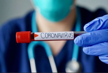 Niderlandda bir gündə 93 nəfər koronavirusdan ölüb 