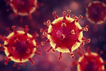 Dünya üzrə koronavirusa yoluxma 634 mini ötdü - 24 saatda 3464 nəfər öldü