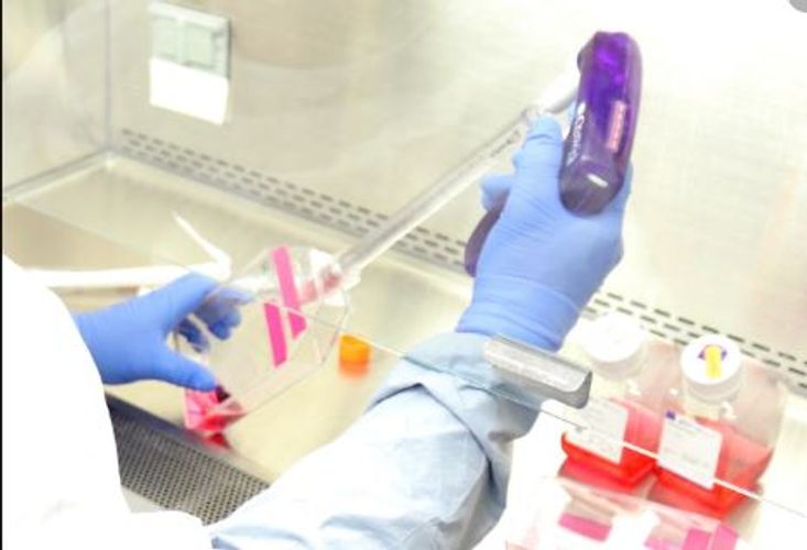 Rusiya Yaponiya ilə birlikdə hazırladığı koronavirus test sistemini ABŞ-a TƏHVİL VERİB