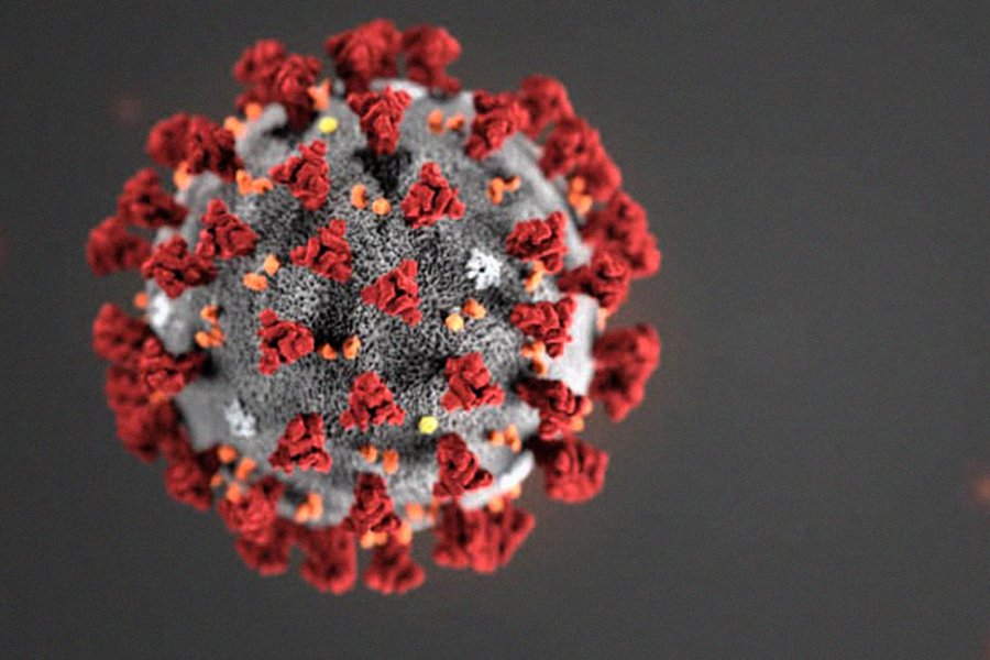 Koronavirusu avtomobilinin üzərində gəzdirir - FOTO