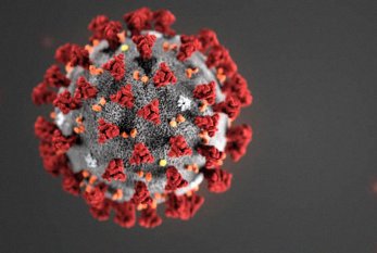 Koronavirusu avtomobilinin üzərində gəzdirir - FOTO