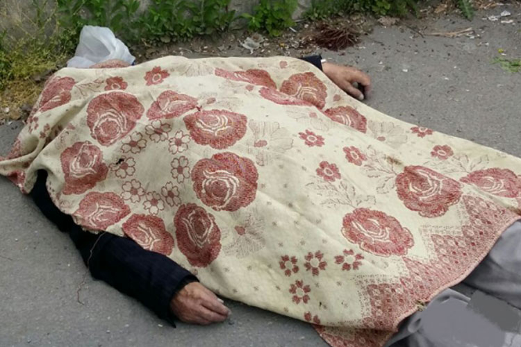 Göyçayda 82 yaşlı kişi qoyun sürüsünün altında QALARAQ ÖLÜB