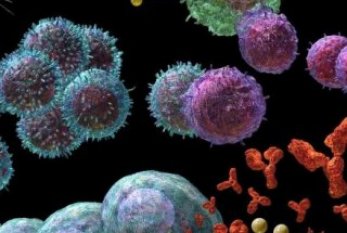 SARS-CoV-2 virusunu blok edə bilən ANTİKORLAR