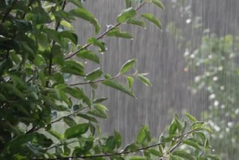 Şimşək çaxacaq, yağış yağacaq - SABAHIN HAVASI