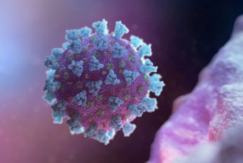Daha 189 nəfər koronavirusa yoluxdu, 5 nəfər öldü