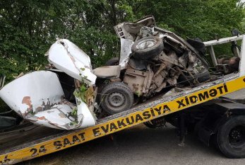 "VAZ 21011" ağaca çırpıldı, sürücü öldü