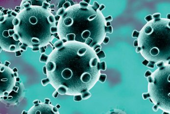 Koronavirus xəstələri evdən çıxa bilərmi? 