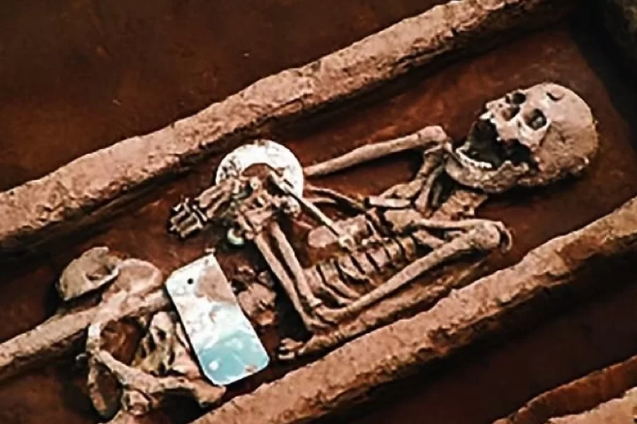 İtkin düşən qardaşının evindən skelet tapdı 