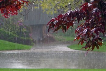 DİQQƏT: Sabah Bakıda yağış yağacaq, güclü külək əsəcək 