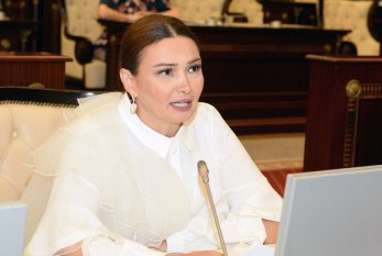 Qənirə Paşayeva Baş nazirə və qurumlara müraciət etdi 